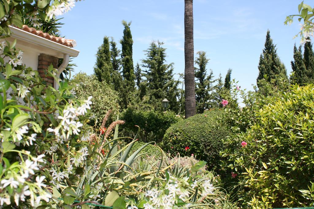 לינה וארוחת בוקר Alhaurín el Grande Cortijo Andaluz מראה חיצוני תמונה