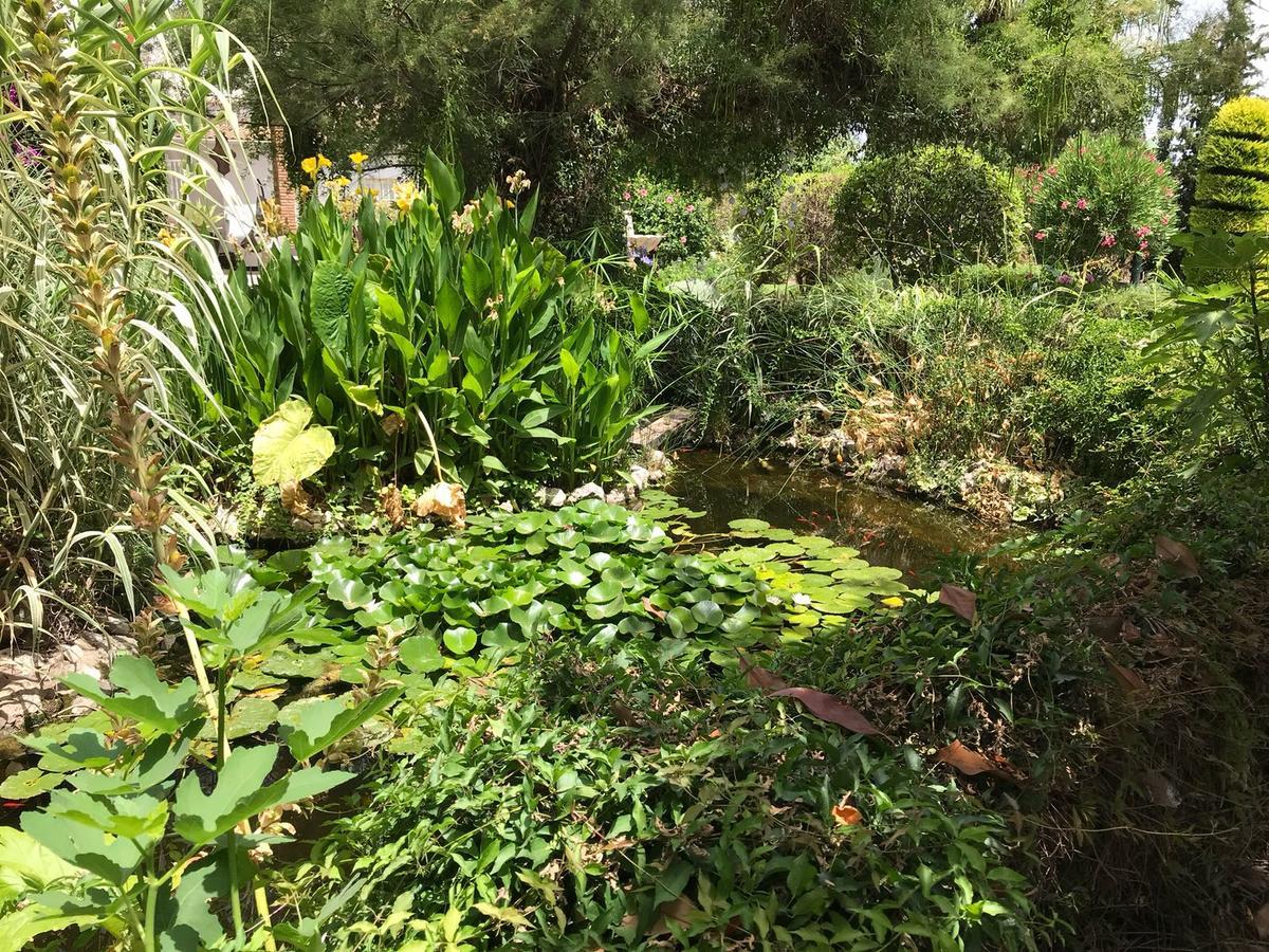 לינה וארוחת בוקר Alhaurín el Grande Cortijo Andaluz מראה חיצוני תמונה