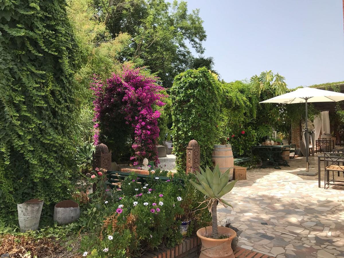 לינה וארוחת בוקר Alhaurín el Grande Cortijo Andaluz מראה חיצוני תמונה